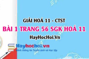Giải bài 1 trang 56 Hoá 11 SGK Chân trời sáng tạo